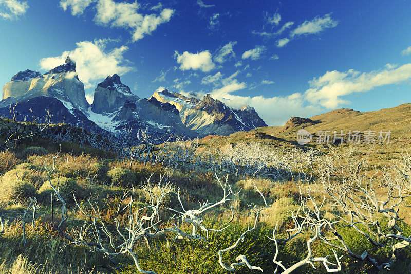 Torres del Paine - 智利巴塔哥尼亚